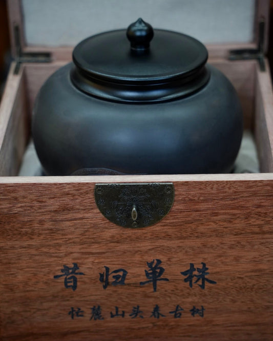 Xigui Single-Bush Tea 昔归单株