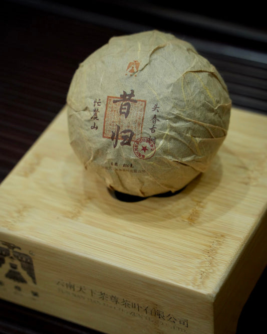 Xigui Manglu Mountain Tea 昔归忙麓山