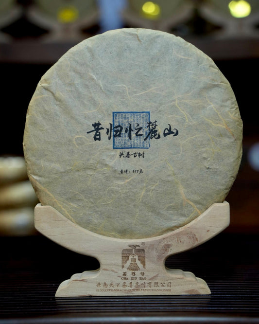Xigui Manglu Mountain Tea 昔归忙麓山