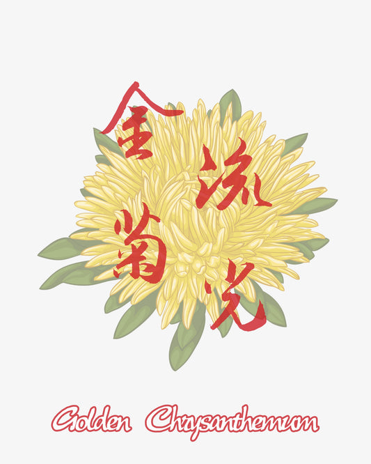 Golden Chrysanthemum 金菊流光